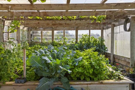 Photo of property in 21 Grace James Road, Pukekohe, 2120