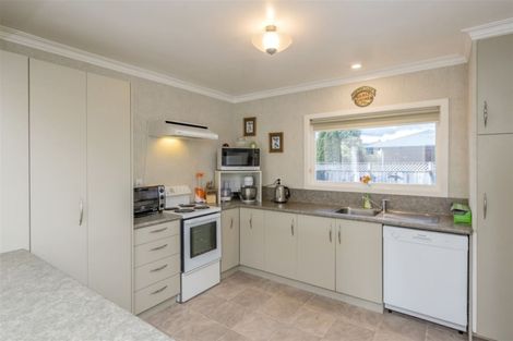 Photo of property in 98 Bartholomew Road, Levin, 5510