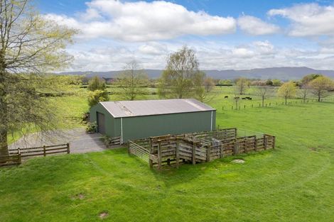 Photo of property in 160 Tower Road, Matamata, 3471