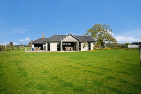 Photo of property in 41 Catalyst Avenue, Leamington, Cambridge, 3432