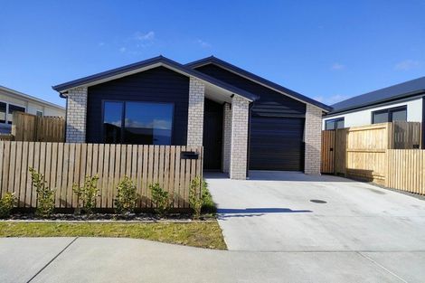 Photo of property in 19 Inaka Place, Poike, Tauranga, 3112