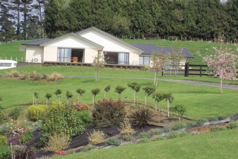 Photo of property in 155 Waitekauri Road, Waikino, Waihi, 3682