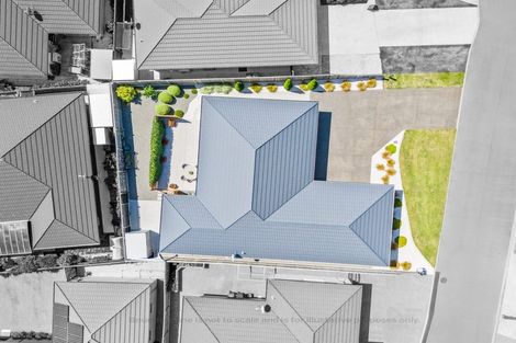 Photo of property in 25 Korari Grove, Redwoodtown, Blenheim, 7201