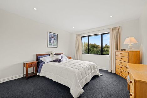 Photo of property in 51 Lewisham Park, St Albans, Christchurch, 8052
