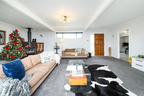 Photo of property in 58 Skerman Street, Marton, 4710