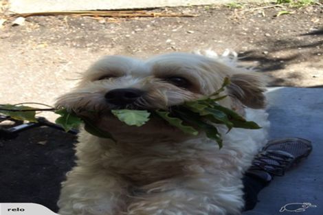 Photo of property in 638 Kahikatea Flat Road, Waitoki, Kaukapakapa, 0871