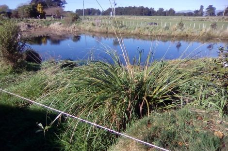 Photo of property in 12 Coulters Line, Kiwitea, Feilding, 4777