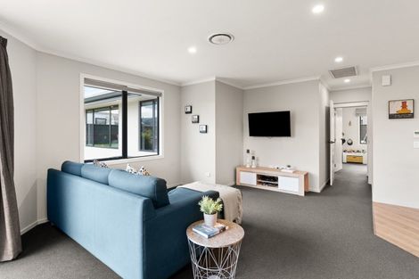 Photo of property in 13 Three Kings Court, Outram, 9019