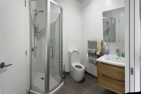 Photo of property in 13 Falcon Crescent, Hobsonville, Auckland, 0618