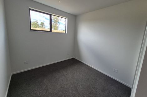 Photo of property in 52 Derbridge Street, Woodend, 7610