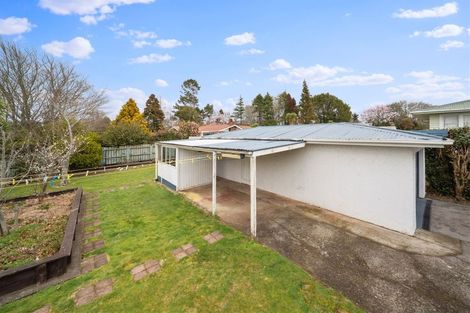 Photo of property in 49a Pembroke Road, Stratford, 4332