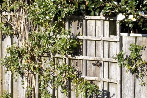 Photo of property in 30a Kakariki Grove, Waikanae, 5036