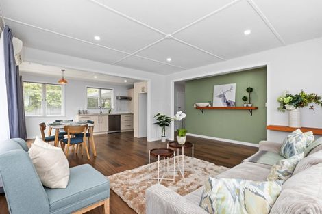 Photo of property in 99a Kenilworth Road, Mayfair, Hastings, 4122