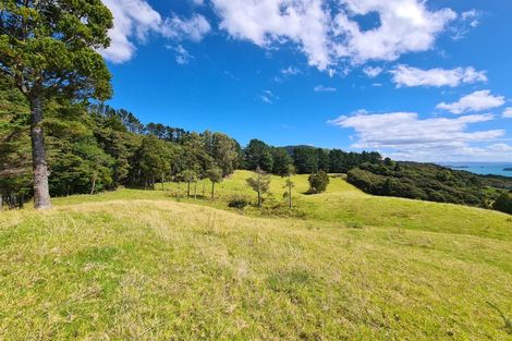 Photo of property in 1702 Colville Road, Amodeo Bay, Coromandel, 3584