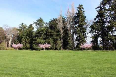 Photo of property in 24 Meadowlinks Lane, Pleasant Point, Timaru, 7974