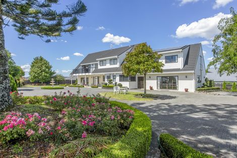 Photo of property in 91 Beatty Road, Pukekohe, 2120