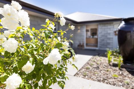 Photo of property in 24 Spencer Place, Springlands, Blenheim, 7201