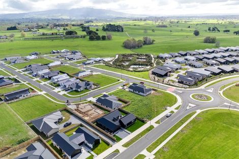 Photo of property in 69 Manaia Road, Te Awamutu, 3800