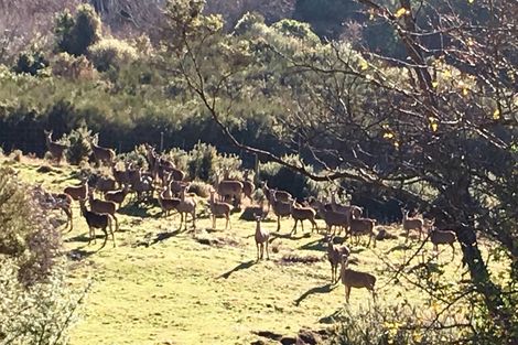 Photo of property in 60 Mcintosh Road, Upper Waitati, Waitati, 9085