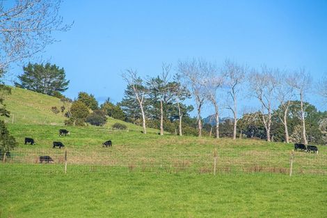 Photo of property in 174 Stoney Creek Road, Kaukapakapa, 0873