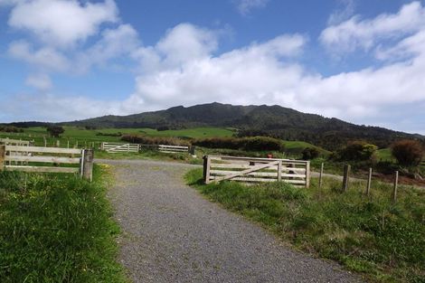 Photo of property in 669a Te Hutewai Road, Raglan, 3296