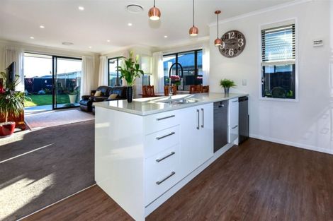 Photo of property in 24 Crowder Street, Lincoln, 7608