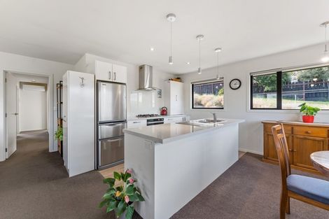 Photo of property in 20 Mount Iron Drive, Wanaka, 9305