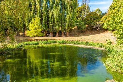 Photo of property in 90 Te Kopi Road, Te Whiti, Masterton, 5884