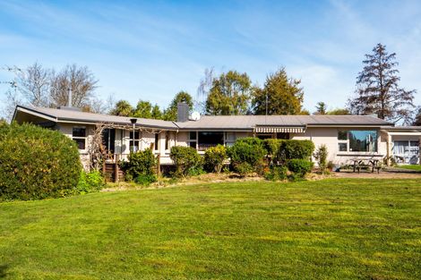 Photo of property in 33 Ribbonwood Road, Geraldine Downs, Geraldine, 7991