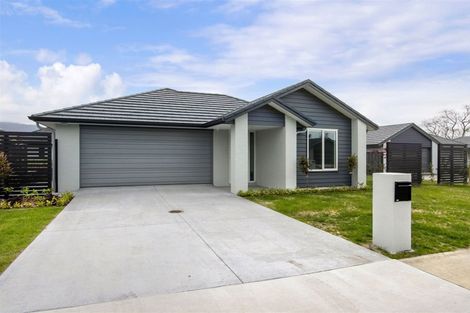 Photo of property in 47 Arran Drive, Aongatete, Katikati, 3178