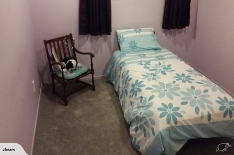 Photo of property in 91 Bethlehem Road, Bethlehem, Tauranga, 3110