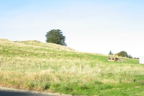 Photo of property in 25 Talbot Street, East Gore, Gore, 9710