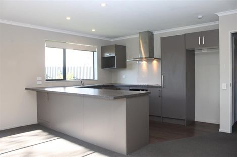 Photo of property in 161c Queen Street, Richmond, 7020