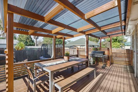 Photo of property in 29 Montgomery Avenue, Pukekohe, 2120