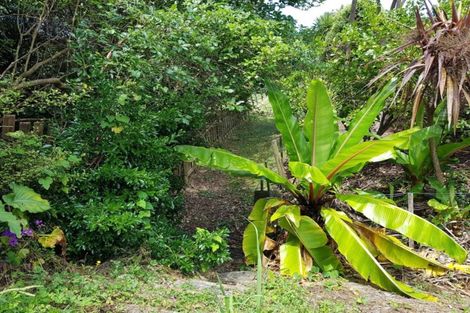 Photo of property in 25 Saint Anne Road, Waipu, 0582