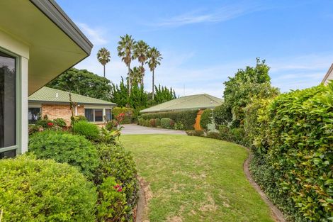Photo of property in 31 Plateau Heights, Mount Maunganui, 3116