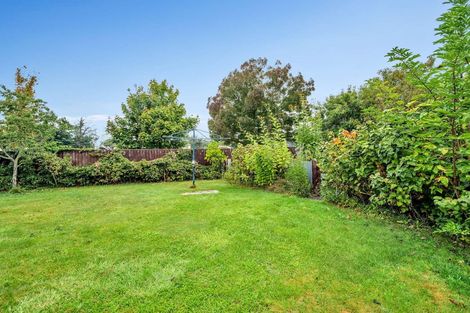 Photo of property in 22 Saint James Street, Southbridge, 7602