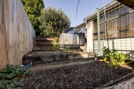 Photo of property in 10a Tutauanui Crescent, Maungatapu, Tauranga, 3112