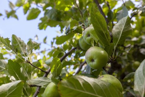 Photo of property in 19 Dale Road, Raumati South, Paraparaumu, 5032