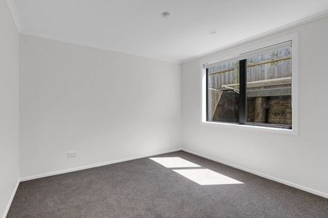 Photo of property in 42 Ladeira Place, Fitzroy, Hamilton, 3206