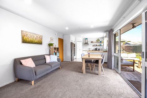Photo of property in 45 Showgate Avenue, Sockburn, Christchurch, 8042