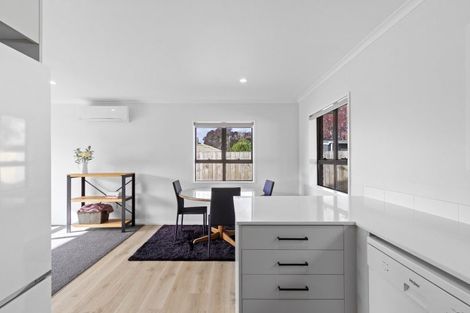 Photo of property in 45a Haultain Street, Fairfield, Hamilton, 3214