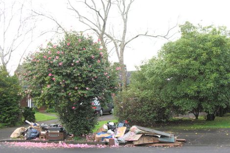 Photo of property in 11 Wilencote Place, Pahurehure, Papakura, 2113