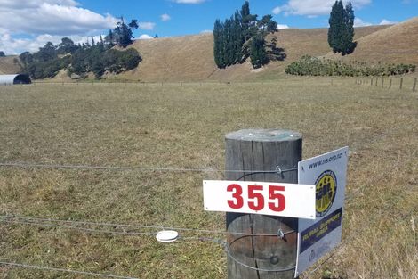 Photo of property in 355 Horahora Road, Piarere, Tirau, 3484