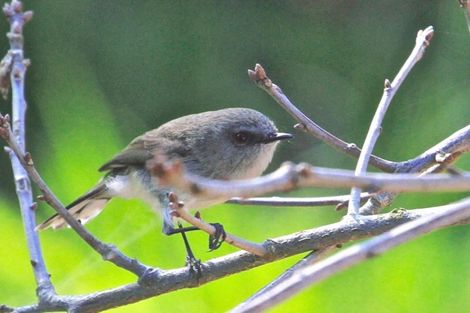 Photo of property in 198 Seaview Road, Westown, New Plymouth, 4310