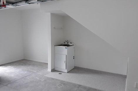 Photo of property in 20 Ngaoho Place, Parnell, Auckland, 1010