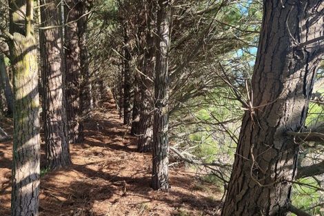 Photo of property in 480 Pesters Road, West Eyreton, 7475