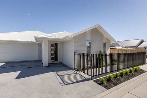 Photo of property in 11b Western Avenue, Omokoroa, 3114