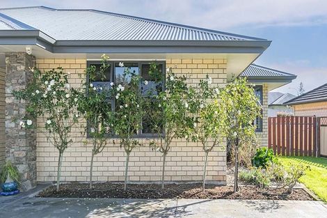 Photo of property in 57 Ritchie Street, Te Aroha, 3320