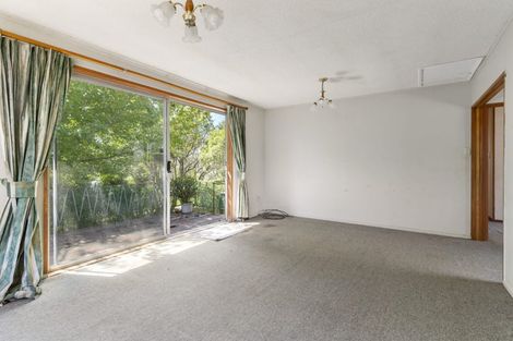 Photo of property in 106 Sycamore Drive, Sunnynook, Auckland, 0620